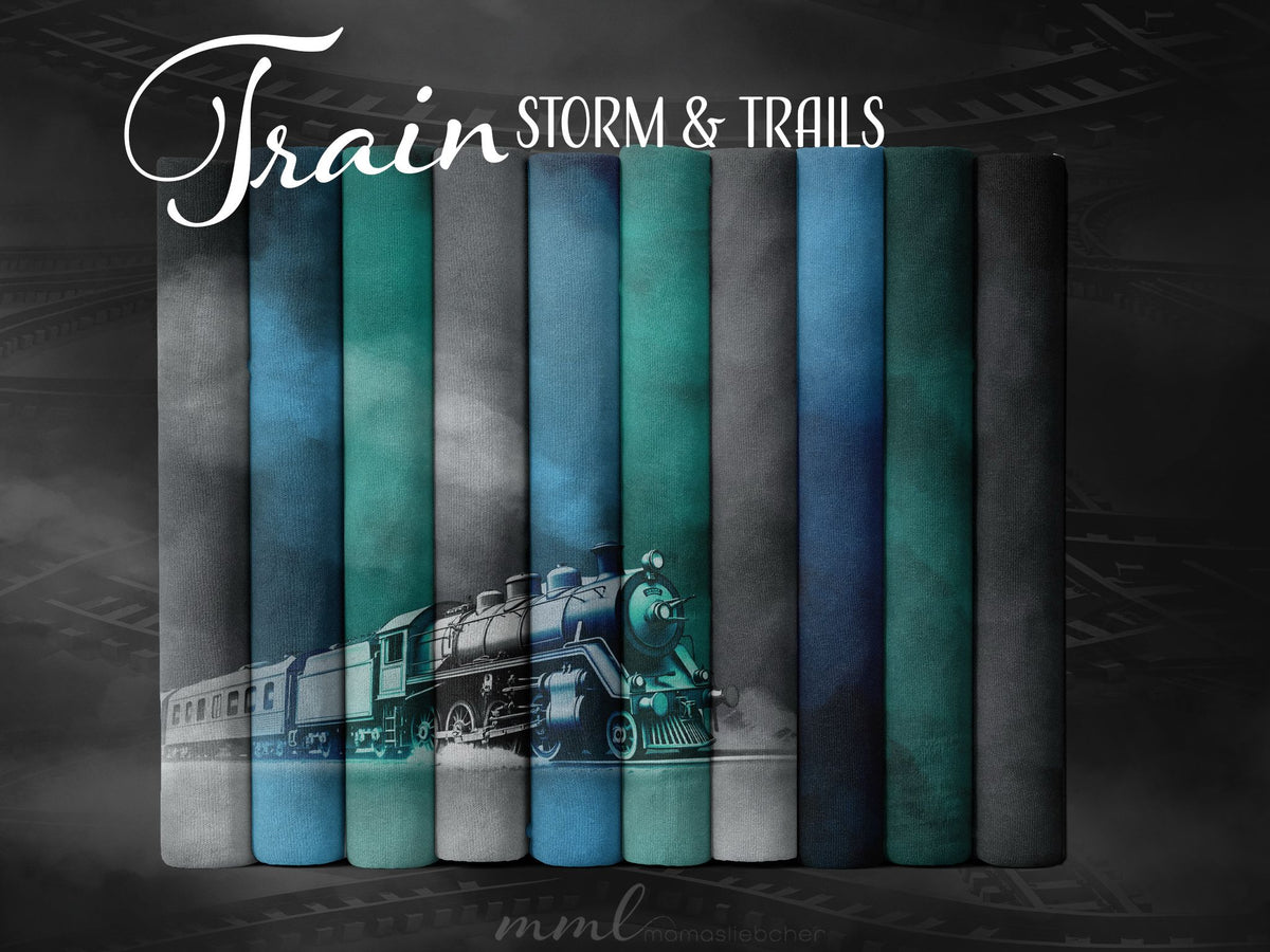 train & track