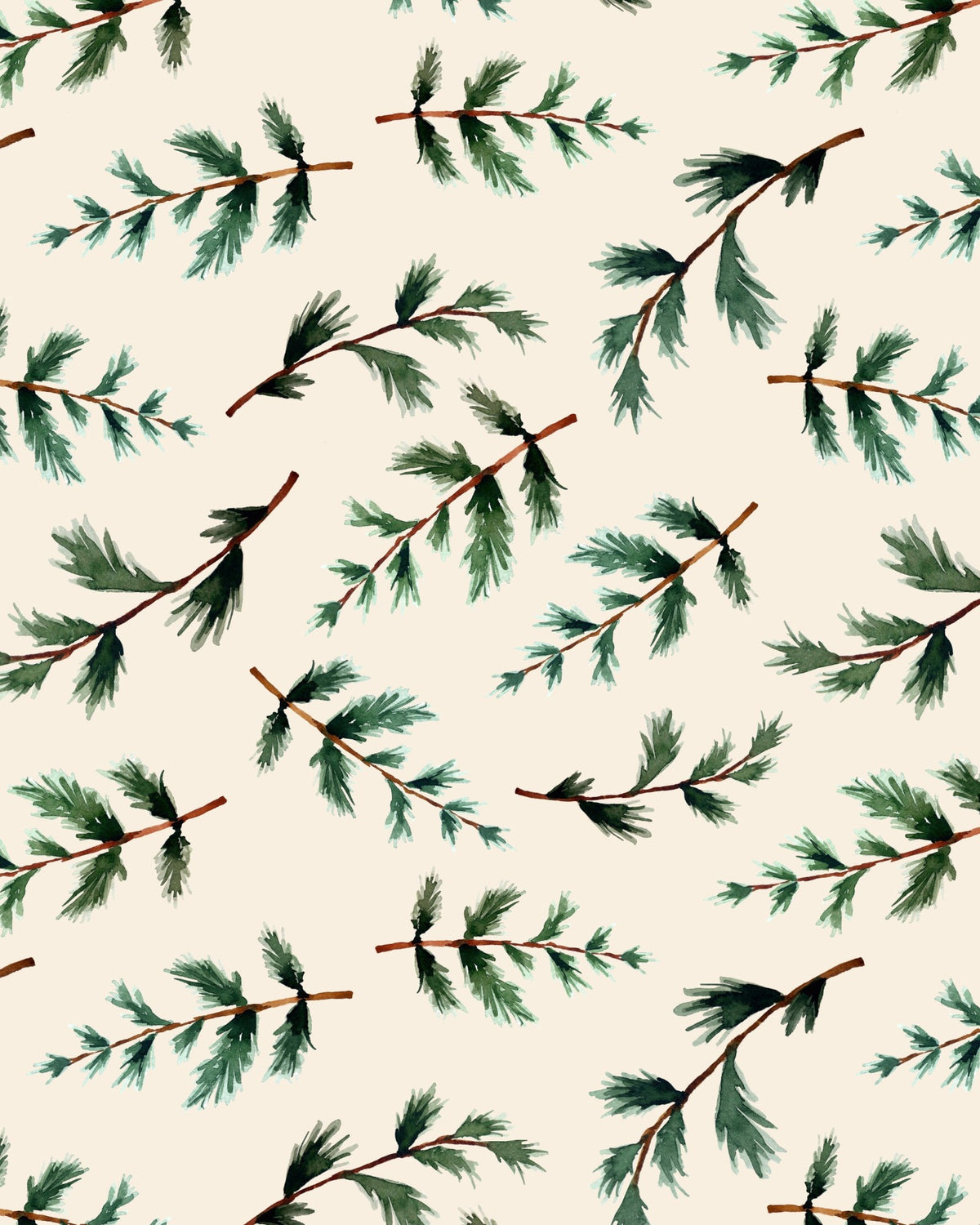fir branches