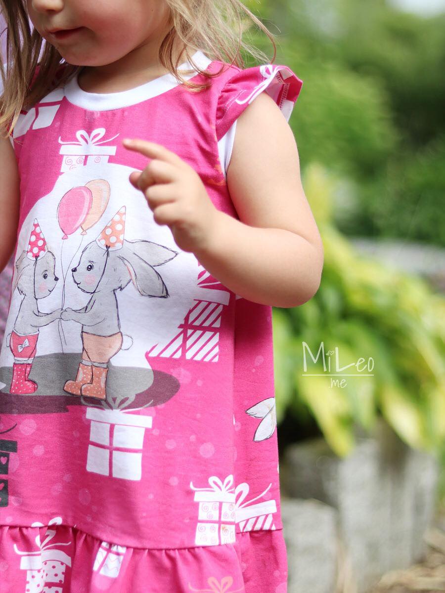 Jersey-Stoff "birthday #berry" (1Panel/ ca.0,675m)