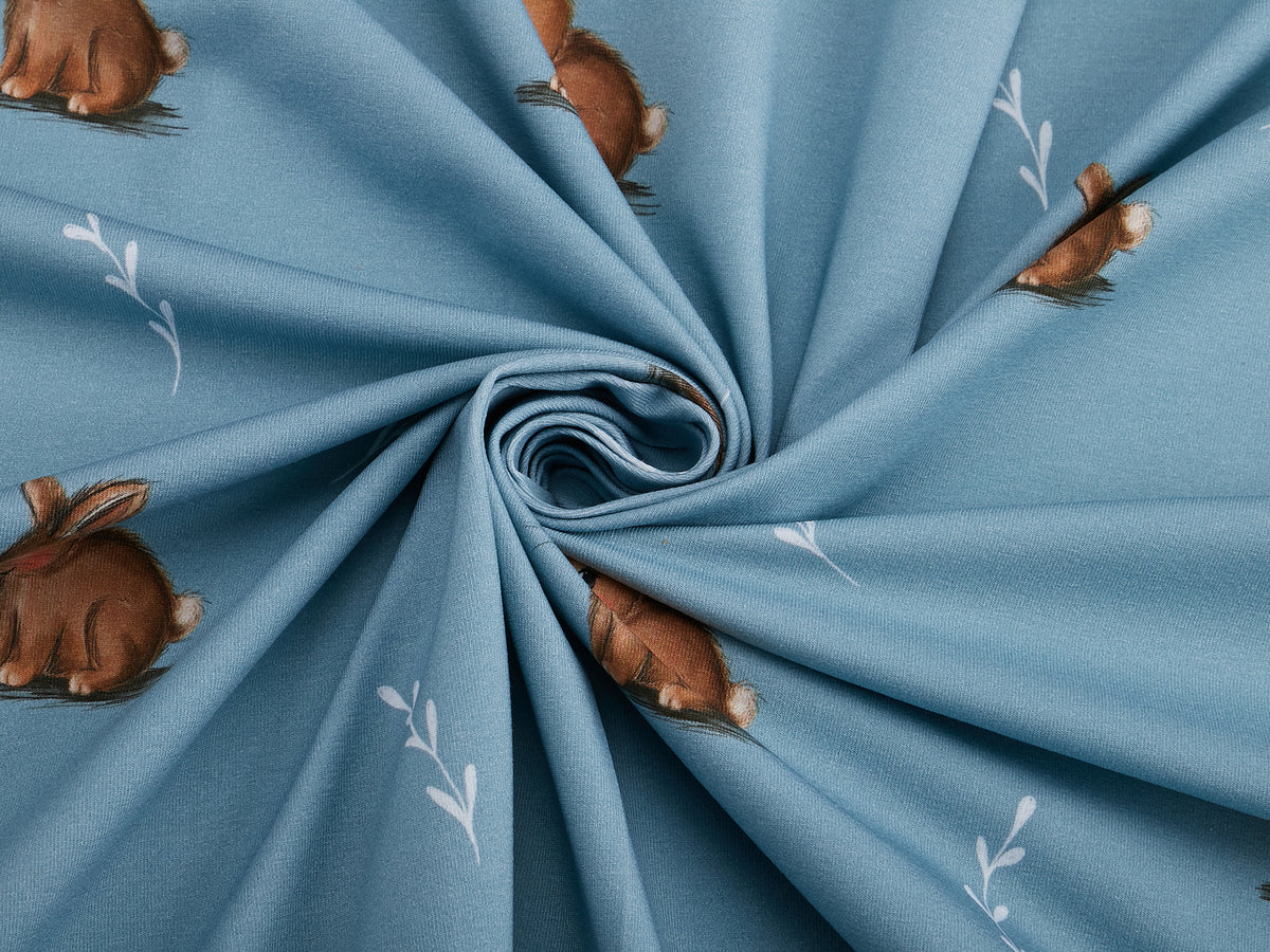 Jersey-Stoff "kleiner Liebling #air" (0,25m)